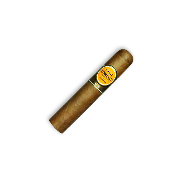 多爾塞碼頭50（10s）